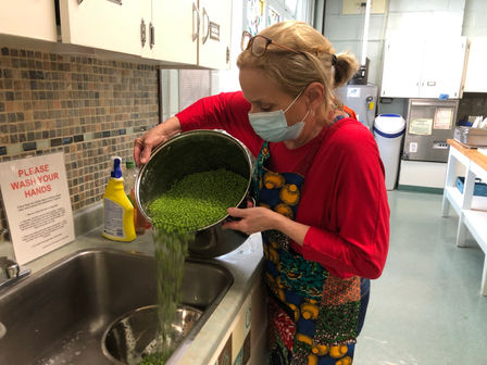 How volunteering and donating your skills improves your physical and mental health