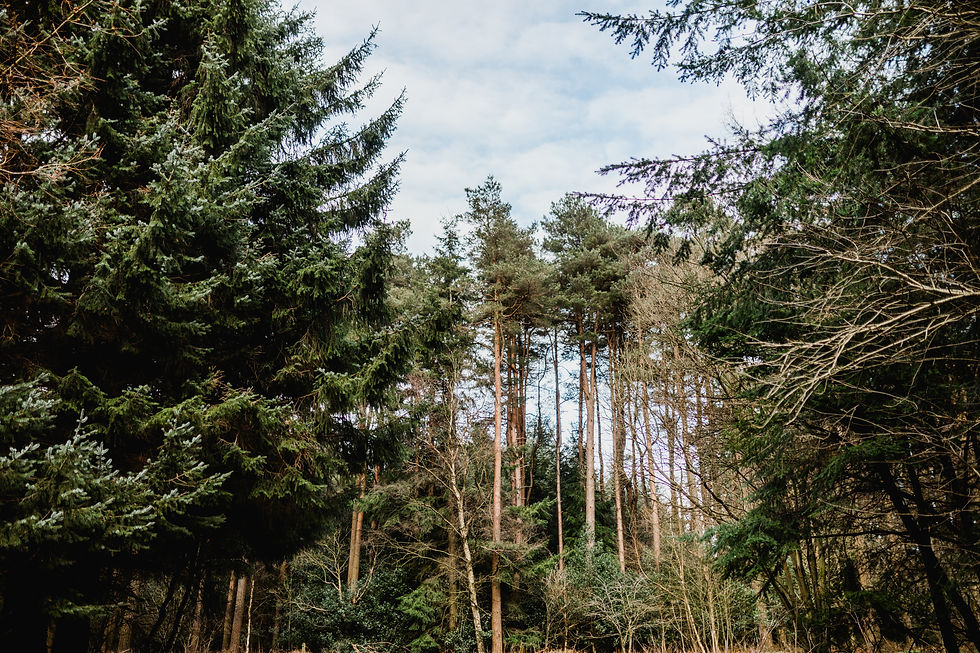 Day Out to Dalby Forest