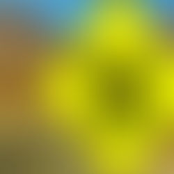 Aviation 2020 to 2030: A COVID reality check for airlines