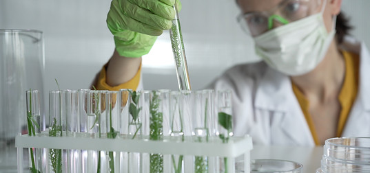 Woman scientist wearing a lab coat, green gloves and mask holding a test tube with plants