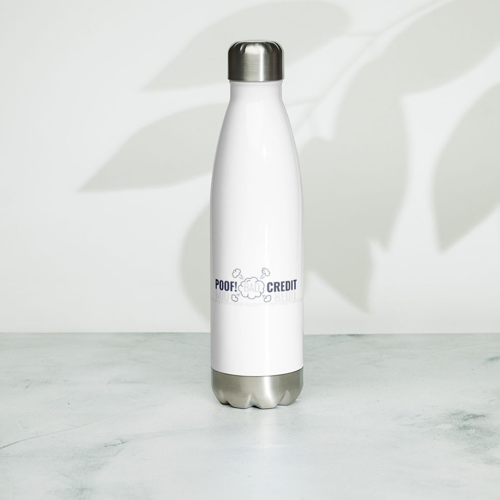Thumbnail: Stainless Steel Water Bottle