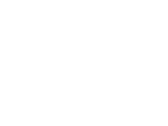 Camera_wht.gif