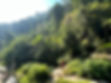 IMG_4807 - Copy.jpeg