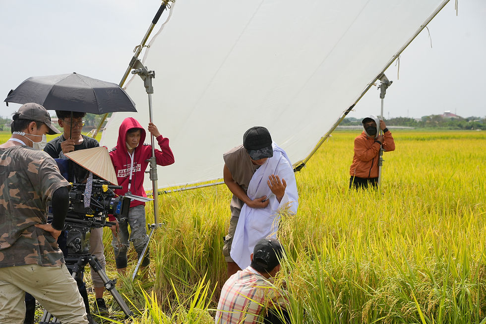 TVC AAn Rice