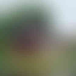 Entrance to Buffalo Trace