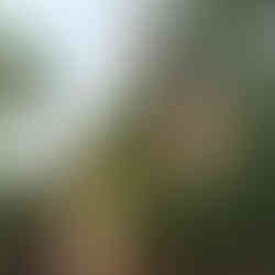 Louisville Slugger Museum