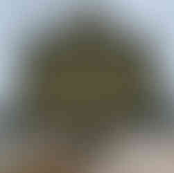 History of Churchill Downs