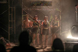 Cuando Kong secuestró la libertad, escaló el Empire State y cayó muerto (2025)