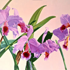 Paolo Campa - In the light of dawn.