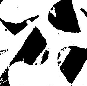 14 p.gif