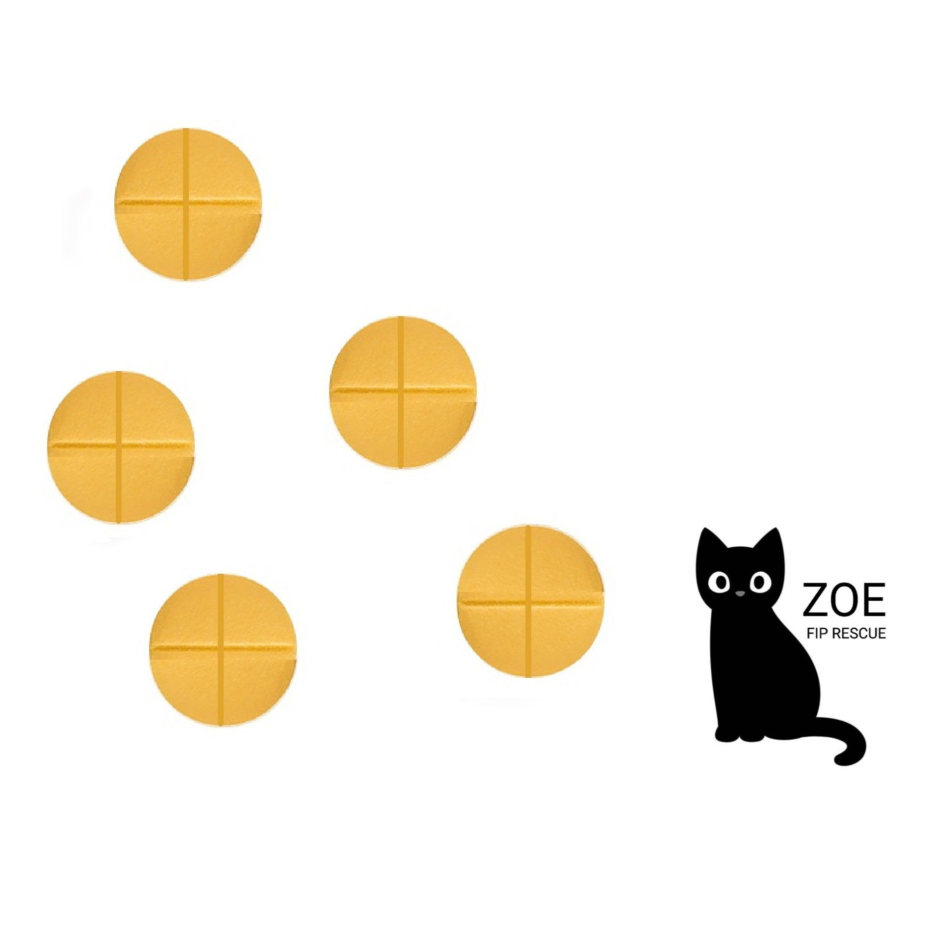 FIP Oral Tablet 6mg (5 tablets)