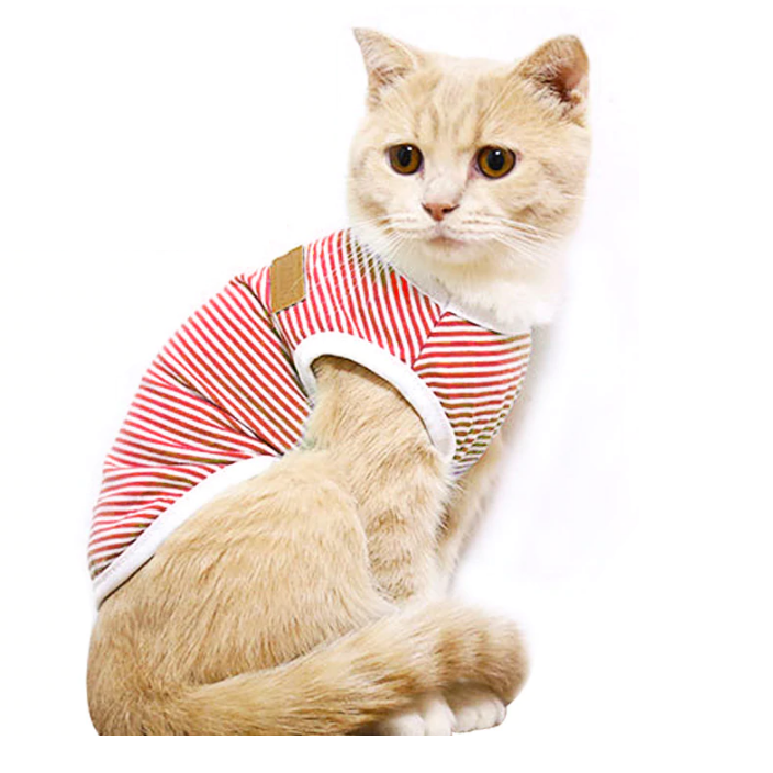 Thumbnail: Kitty Shirt - Classic Stripe - Red