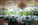 Choosing a Wedding Venue