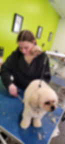 IMG-20260301-WA0027