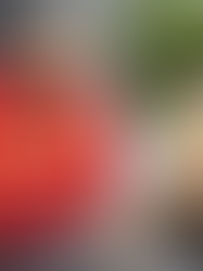 Setsubun: O Ritual Milenar que Expulsa a Má Sorte no Japão