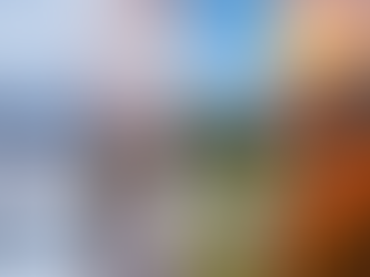 O Clima no Japão: Prepare-se para as Quatro Estações e os Desafios da Natureza