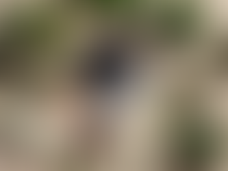 Empower Your Wellness Journey with Herbal Coaching Today