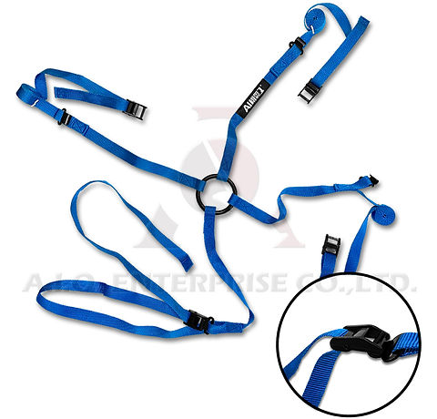 CAMBUCKLE TIE DOWN