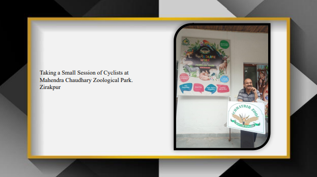 On a Mission to Storm Ideas