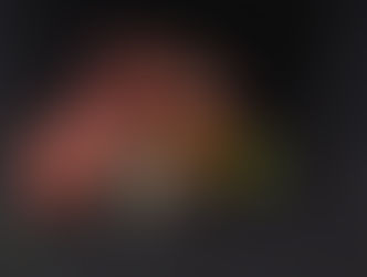 Frisches Rind- und Schweinefleisch am Mittwoch 11.02.2026