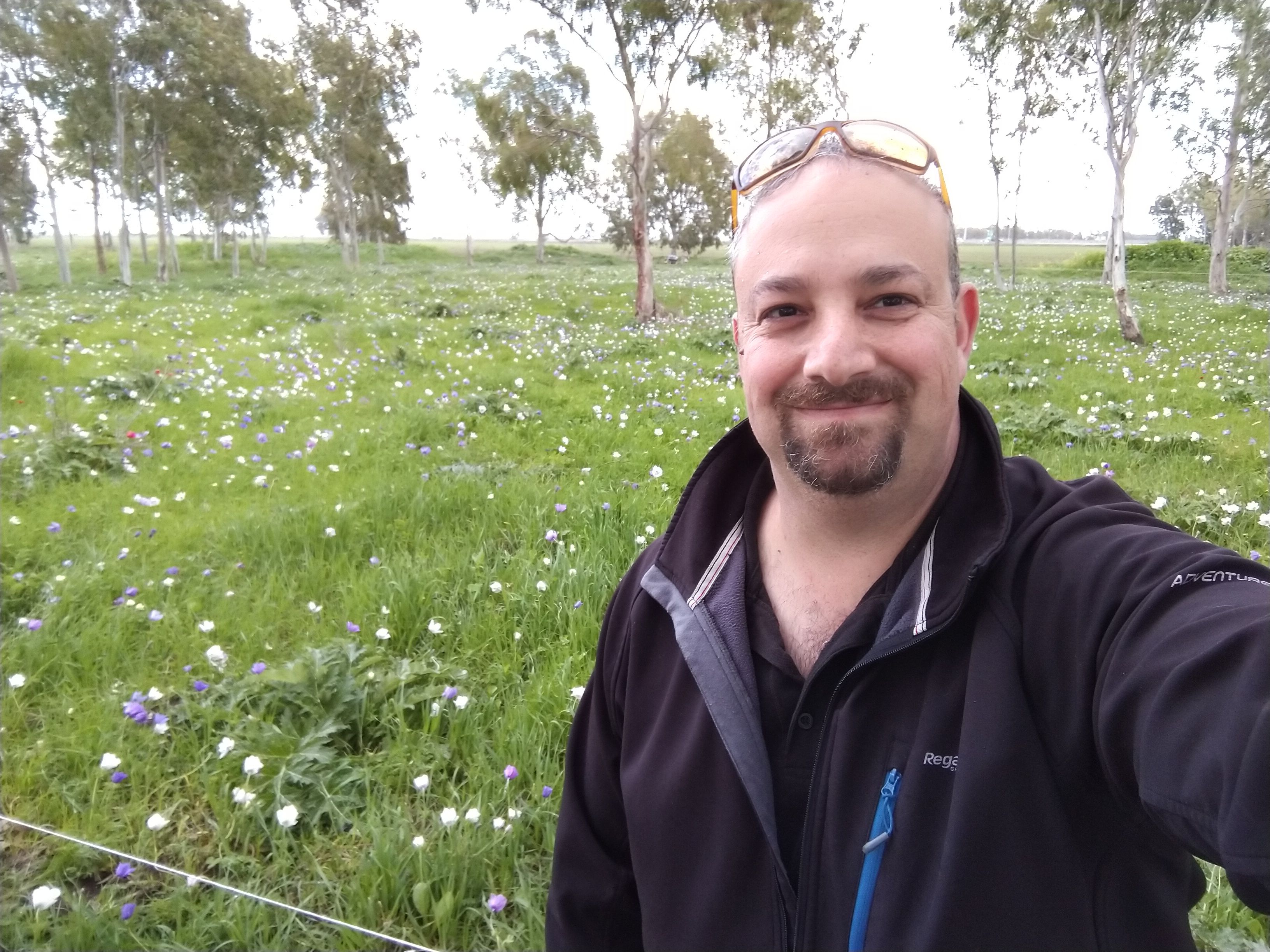 תמונת הסופר/ת: Eran Hadomi
