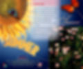 Dale Photo Imaging
