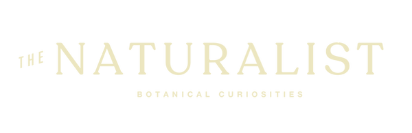 Naturalist_Final_cream1.png