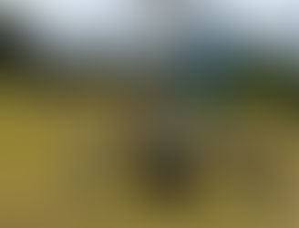Como vender meus serviços com drones: guia para começar a empreender do jeito certo