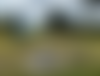 Os Principais Mercados para Drones no Brasil