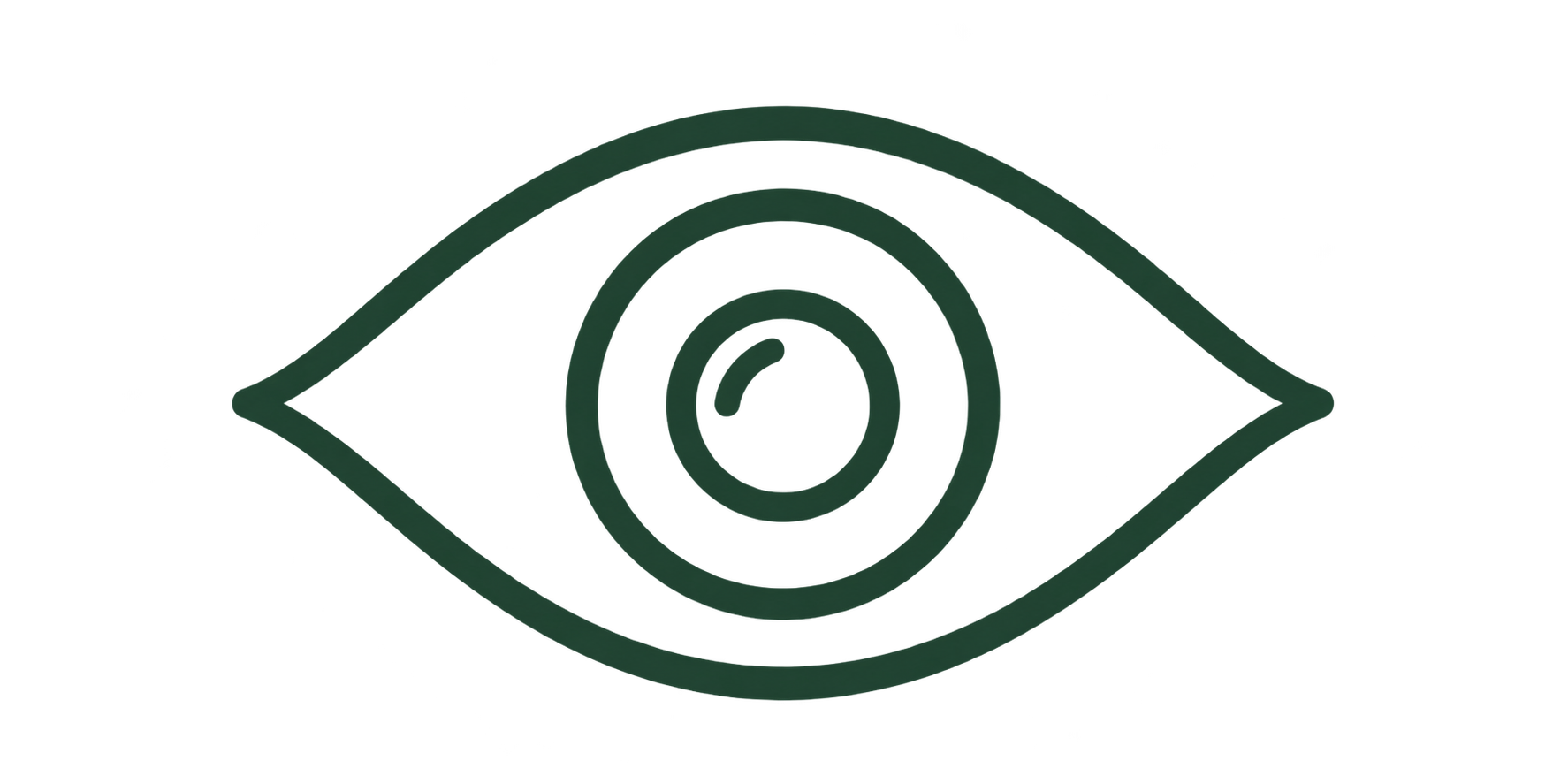 Eye Open Lines.png