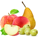 Untitled design (6).png
