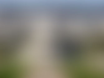 Government Shutdown: A Local and National Conundrum