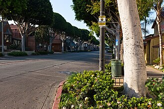 Proposed Citizen Initiative: Greenleaf Promenade Tree Protection and Responsible Development Ordinance