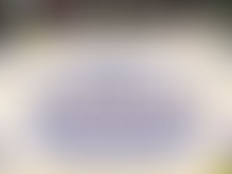 Whittier Honors Veterans with Annual Celebration at Central Park