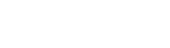 flexjoint logo white