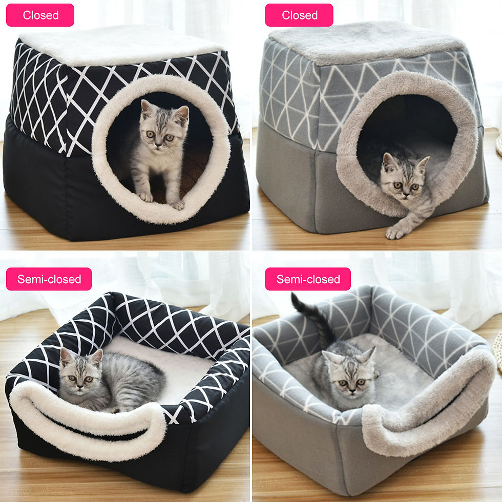 Cama Cápsula Espacial para Cães e Gatos – imagem do produto 1