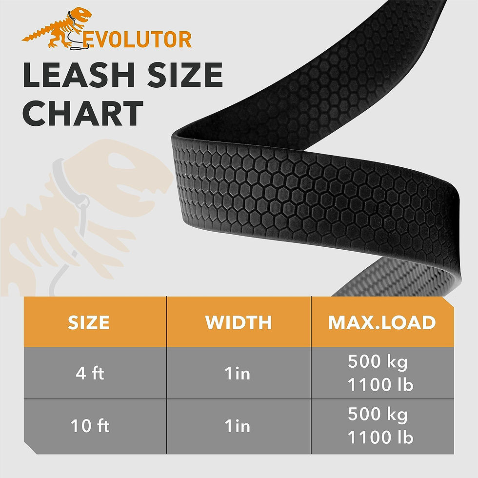 Thumbnail: Orange Extra Heavy Duty Dog Leash 4 Ft x 1 in for Large Medium and Small Dogs