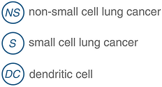 STING glossary for website image.png