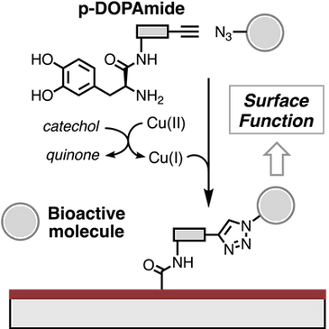 p-DOPAmide Surface Functionalization for website.png