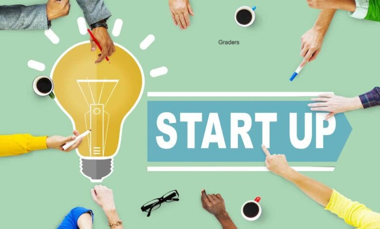 🎉The Startup Jungle: Insights into the Entrepreneurial Ecosystem