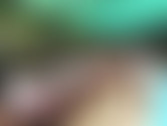 Church Plant Baptisms