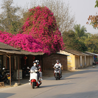 Developing China-11.jpg