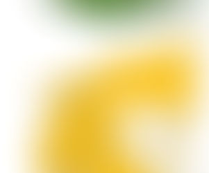 金砖国家的反抗