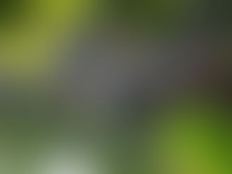 中国是发达国家吗? 美国在“基于规则的国际秩序”中再次在改变了规则。