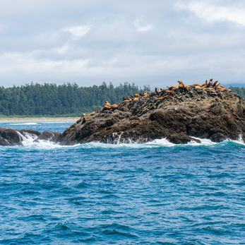 Western Canada 2019 (9 of 30).jpg