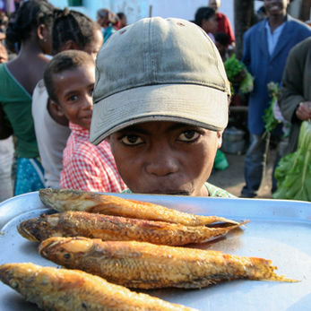 Madagascar - 马达加斯加 (30 of 37).jpg