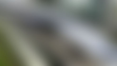 China's new maglev train in Shandong has a top speed of 600 kph, the fastest train in the world.