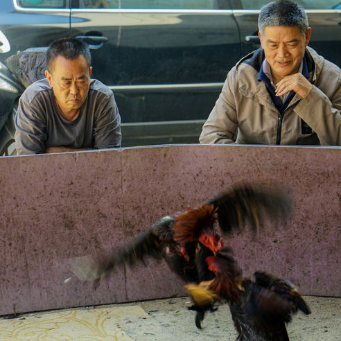 Developing China-3.jpg