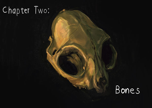 bones header