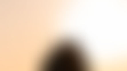 Imagen de familia viendo atardecer